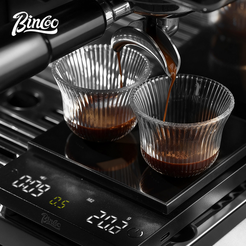 BINCOO Digitale Koffieweegscha - Scale Drip Timer recensie en prijs